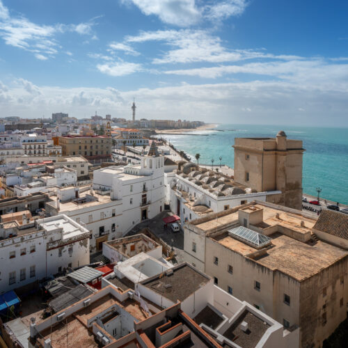 Aerial view with Church of the Holy Cross (Cadiz Old Cathedral) - Cadiz, Andalusia, Spain
