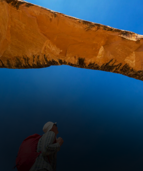 رحلات دولية منظمة