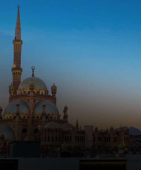 عمرة منظمة ومتكاملة